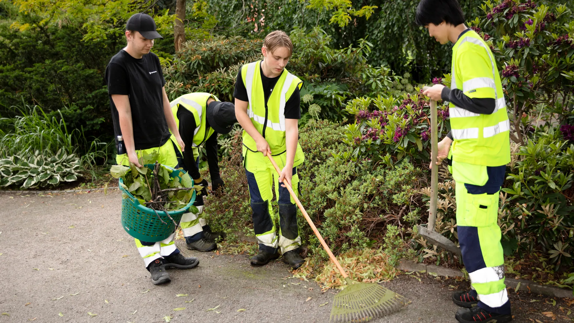 En grupp män som står i en frodig grön skog.