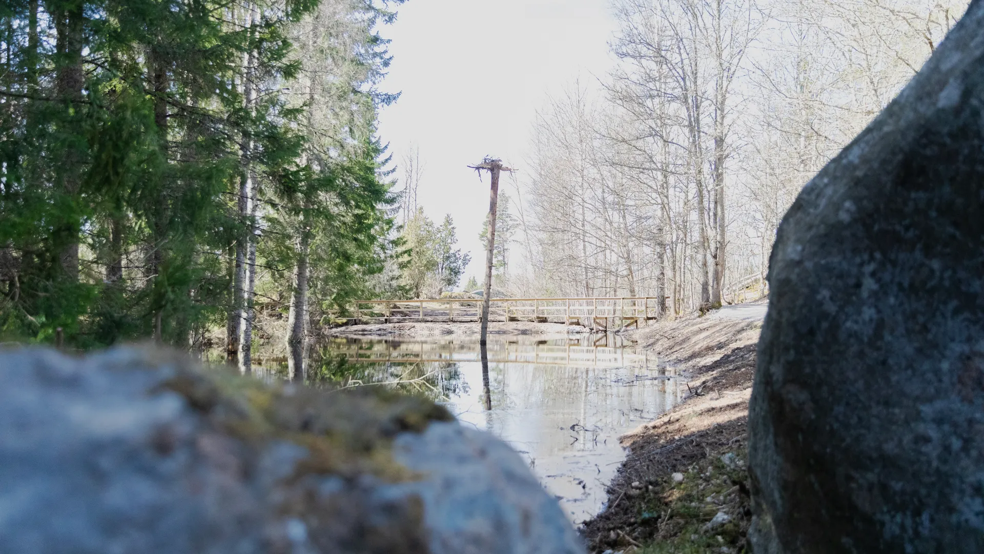 Våtmark två längs med kärmbolsleden