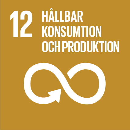 mål 12 hållbar konsumtion och produktion