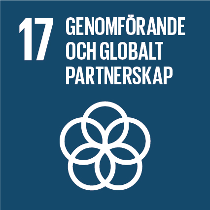 Mål 17 genomförande och globalt partnerskap