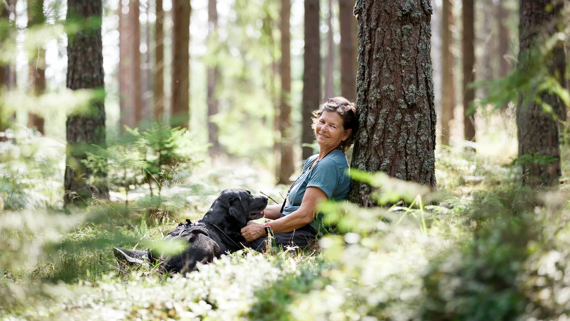 natur, vandring