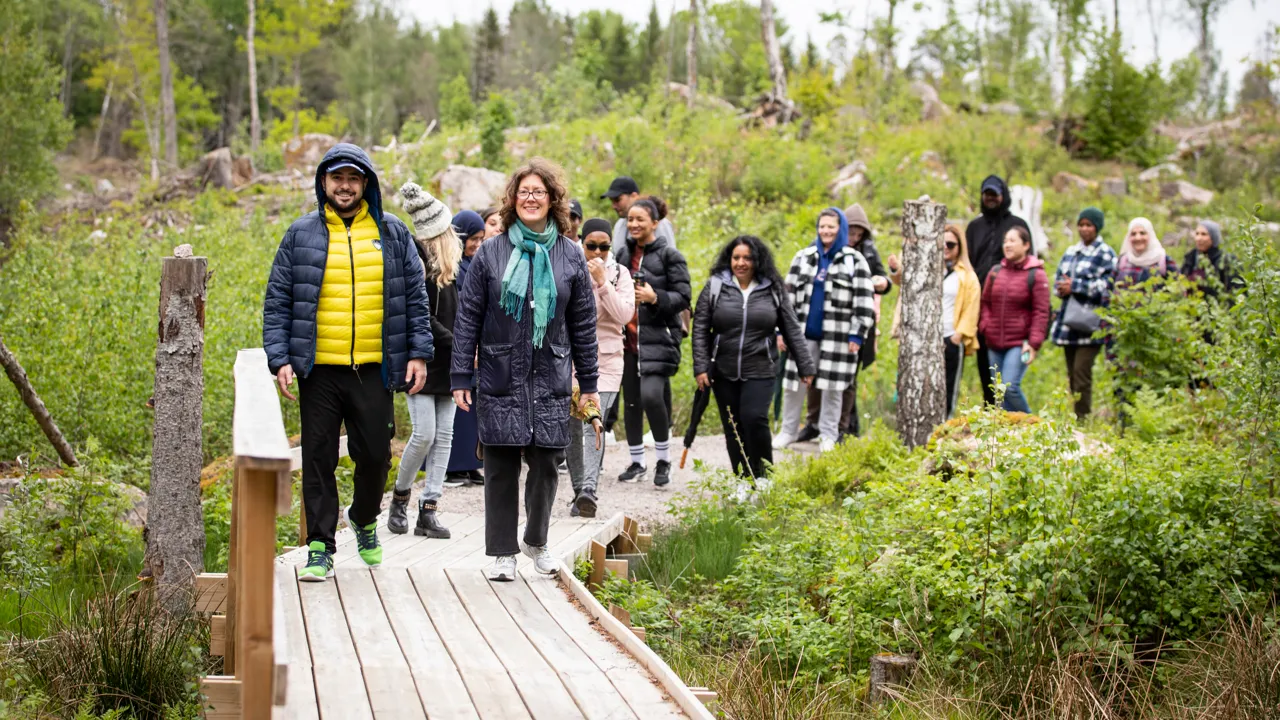 En grupp människor som går över en träbro.