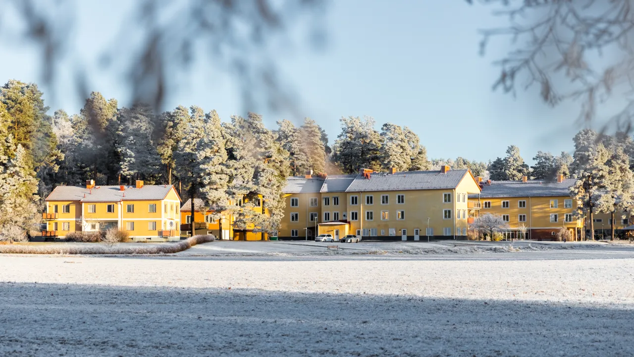 Ett gult hus mitt i ett snötäckt fält.