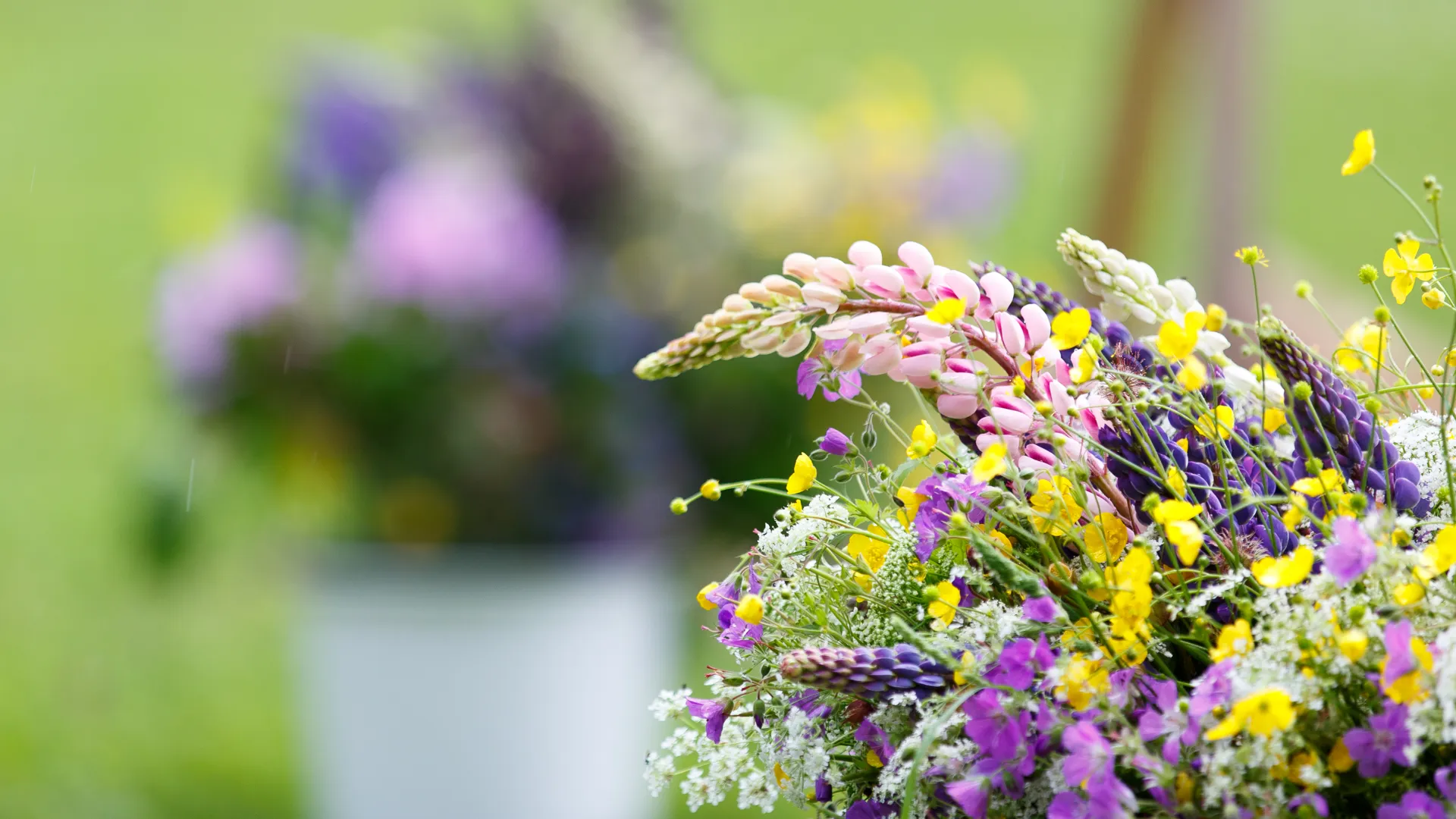 Midsommarfirande på djulö 2015