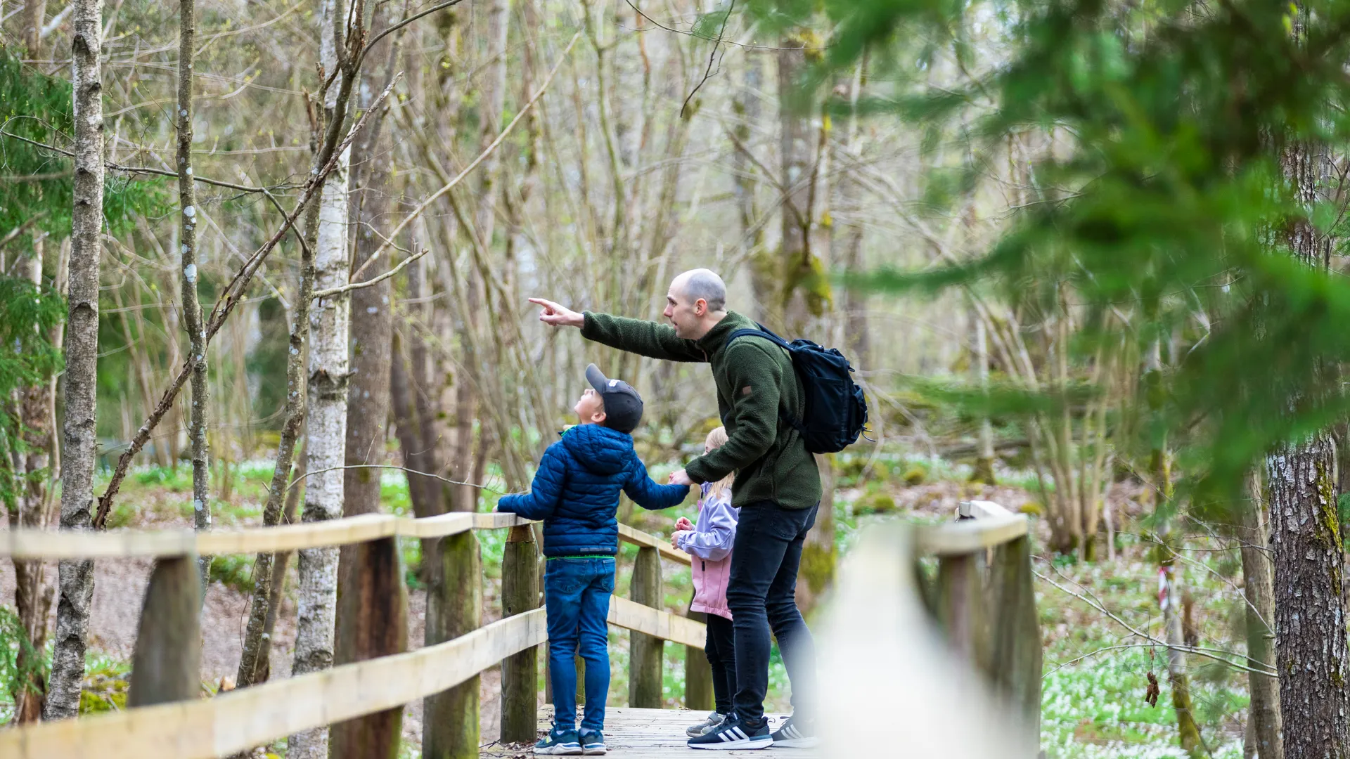 En grupp människor som står på en bro i skogen.