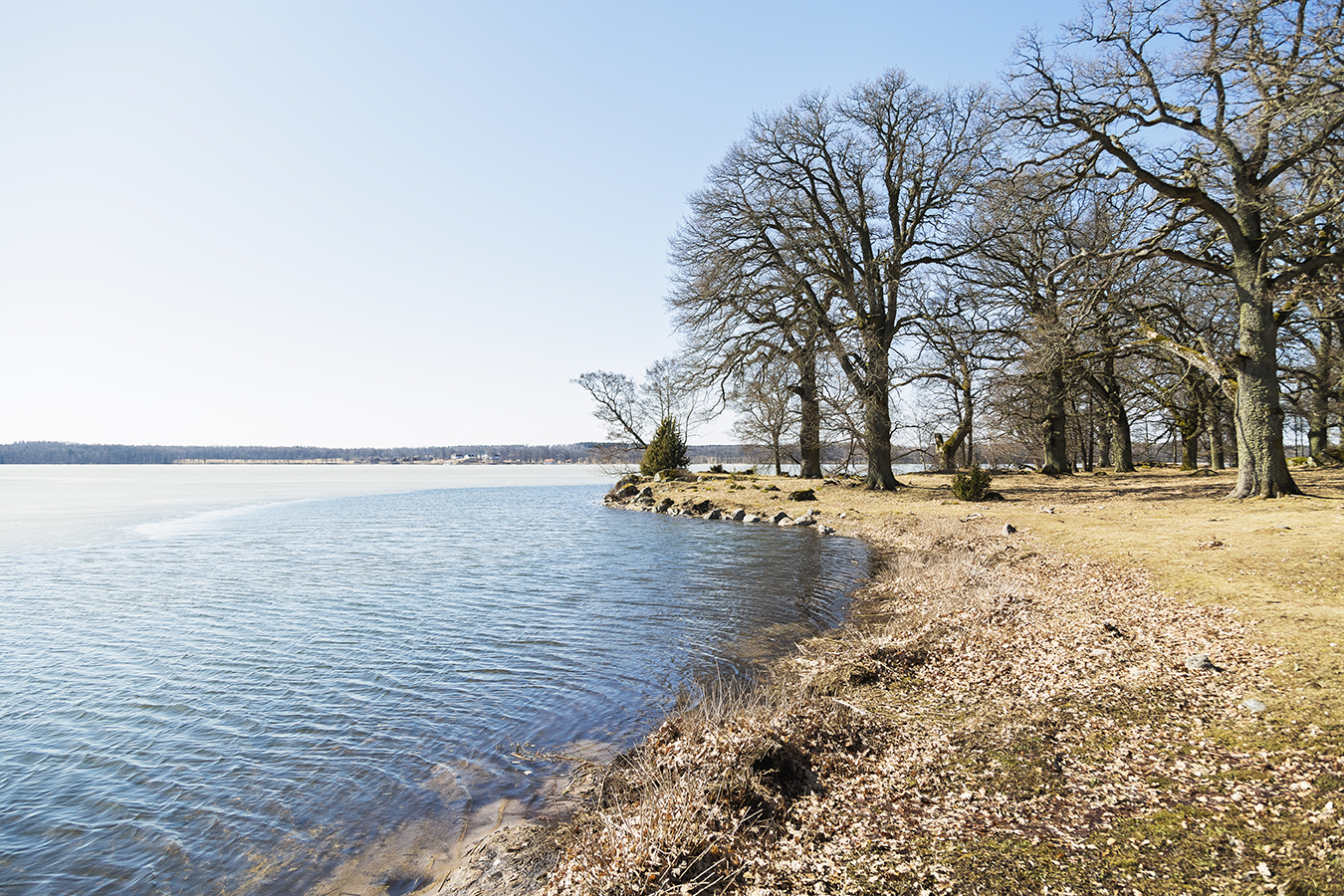 Sjön Öljaren, foto: Josefine Karlsson