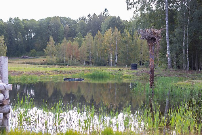 Vy över en av våtmarkerna i krämbol