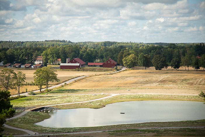 Vy över Djulö våtmark