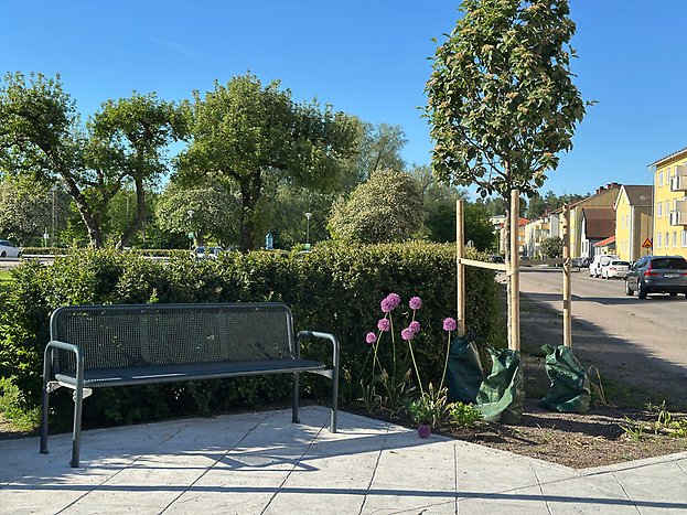 Parkbänk vid en plantering i en korsning.