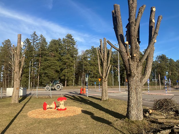 högstubbar och äpplen
