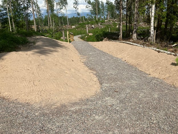 sandblotta