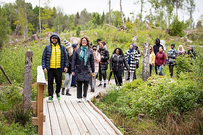 I Krämbol har naturen fått nytt liv. Här har Katrineholms kommun tagit vara på möjligheterna i en hårt angripen skog och skapat ett omtyckt friluftsområde med vandringsleder, våtmarker och liv för både människor och natur. På bilden ses en klass från SFI – Svenska för invandrare – på guidad tur i området.