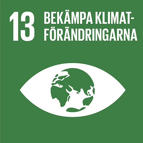 mål 13 bekämpa klimatförändringarna