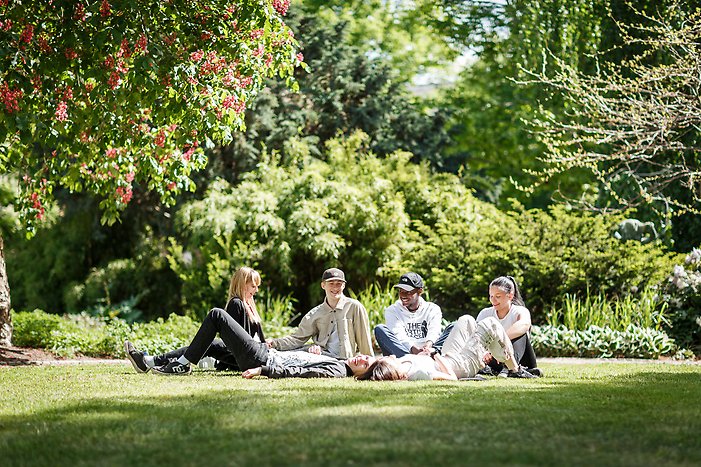 ungdomar som har picknick